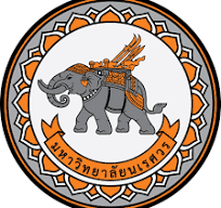 Narasuan University